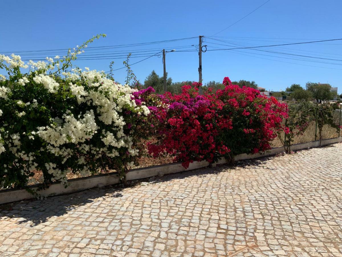 Guest House Alfarrobeiras Albufeira Kültér fotó